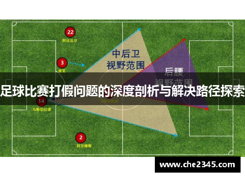 足球比赛打假问题的深度剖析与解决路径探索